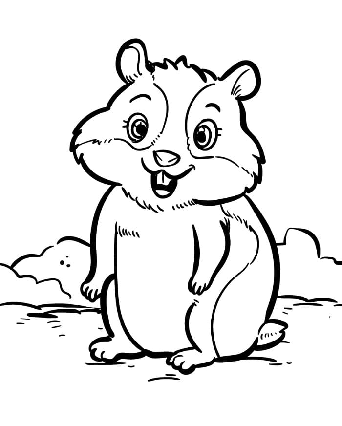 Mutlu Hamster Boyama Sayfası