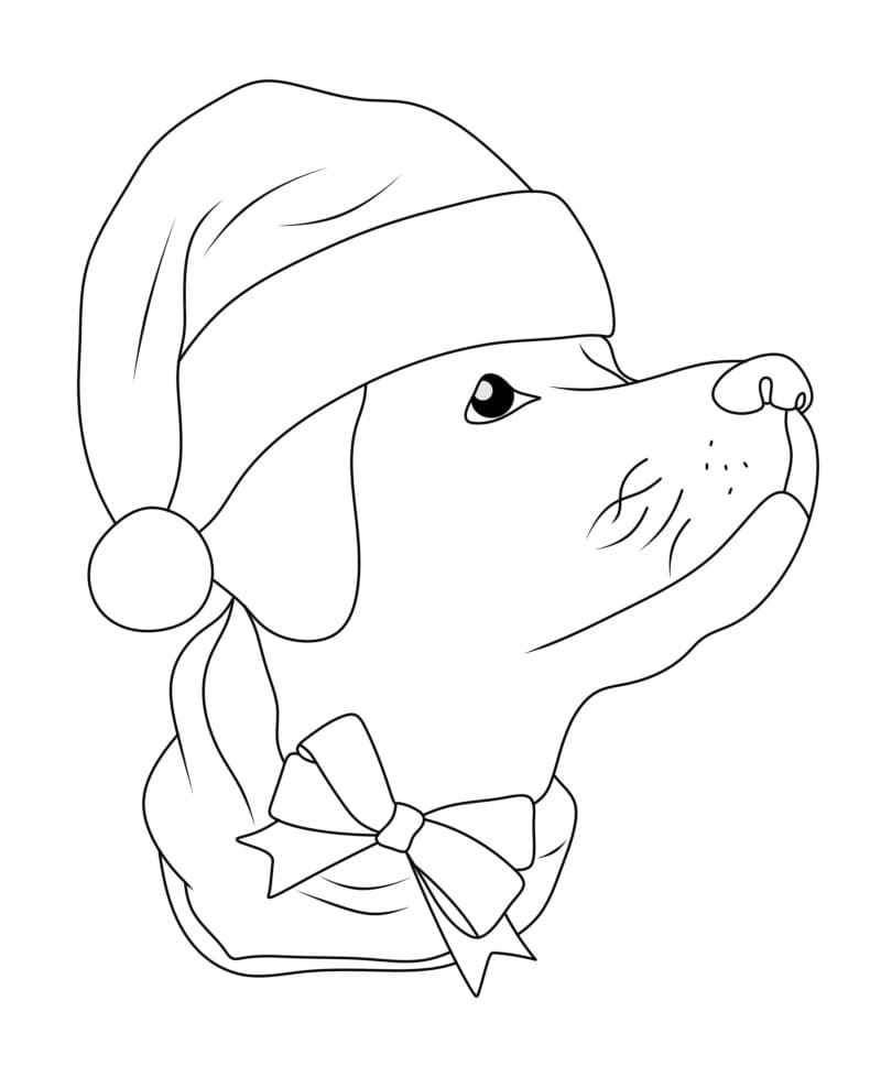 Noel Köpeği Yüzü Boyama Sayfası