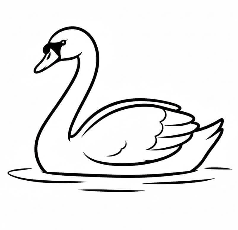 Sade Kuğu Boyama Sayfası