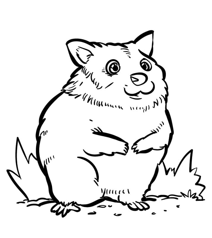 Sıradan Hamster Boyama Sayfası