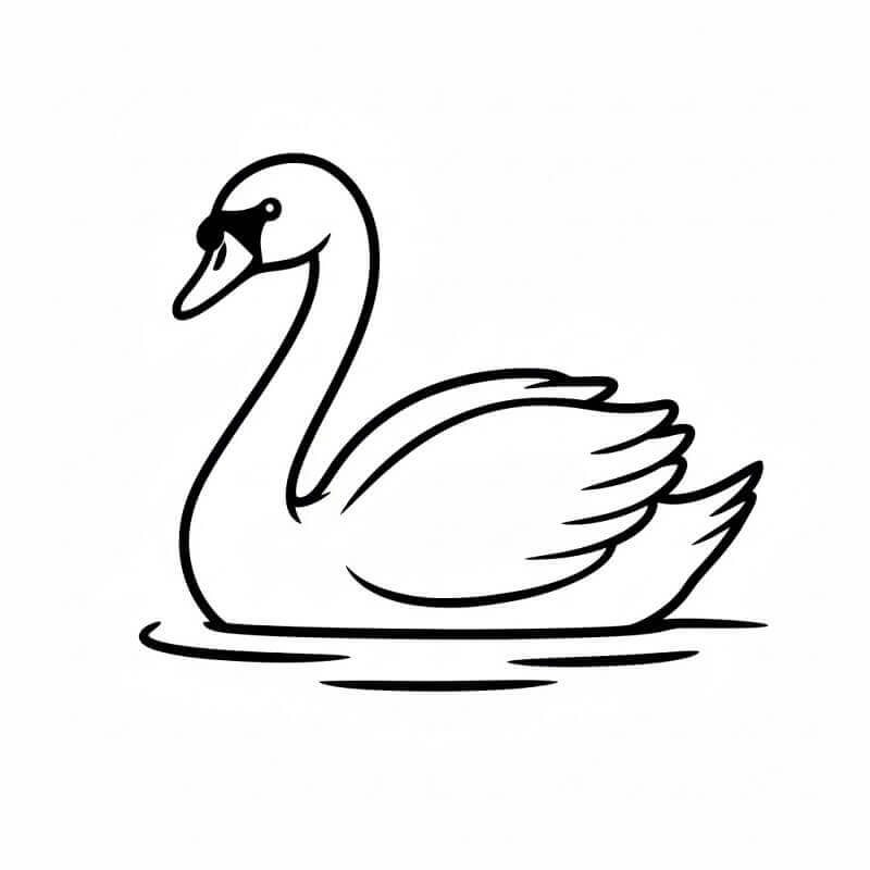 Temel Kuğu Boyama Sayfası