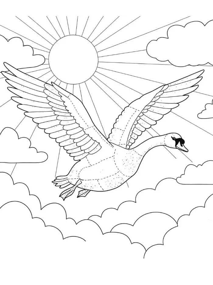 Uçan Kuğu Boyama Sayfası