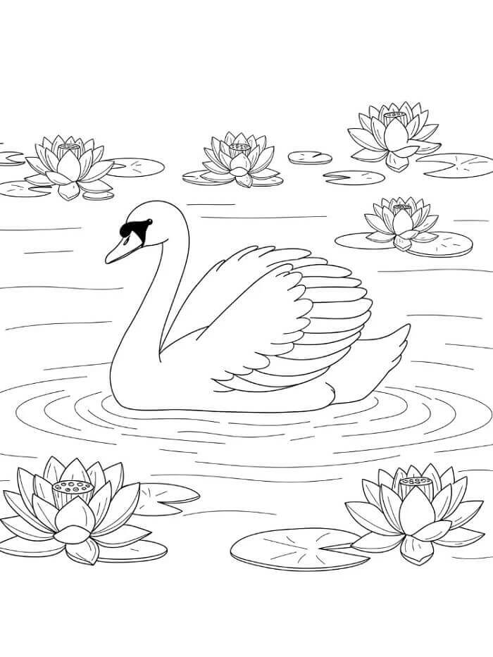 Ücretsiz Olarak Kuğu Boyama Sayfası