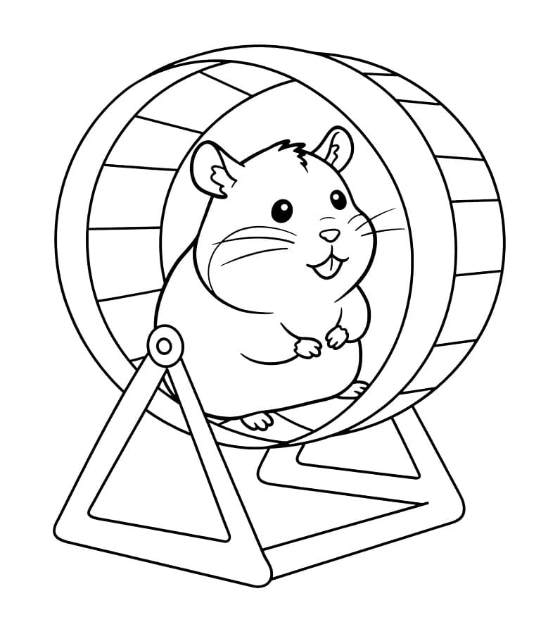 Yazdır Hamster Boyama Sayfası