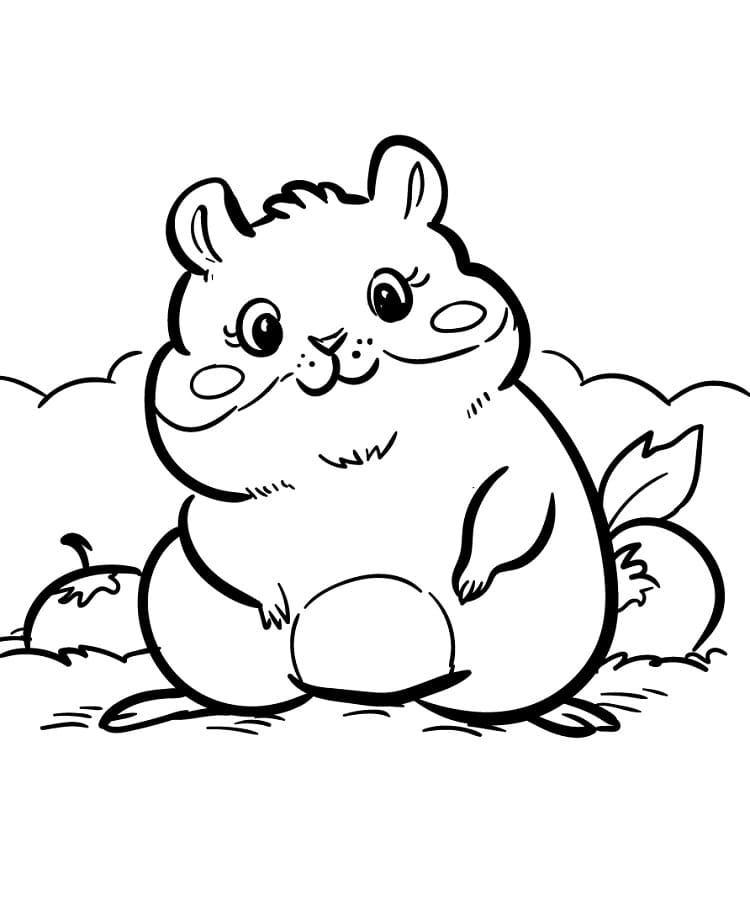 Yazdırılabilir Hamster Boyama Sayfası