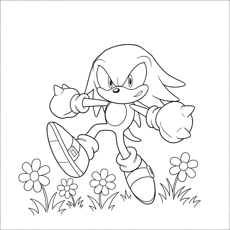 Yazdırılabilir Knuckles Boyama Sayfası