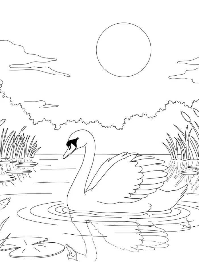 Yazdırılabilir Kuğu Boyama Sayfası