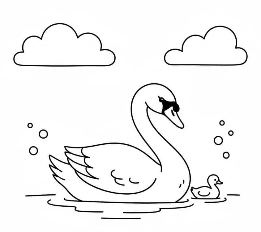 Zarif Kuğu Boyama Sayfası