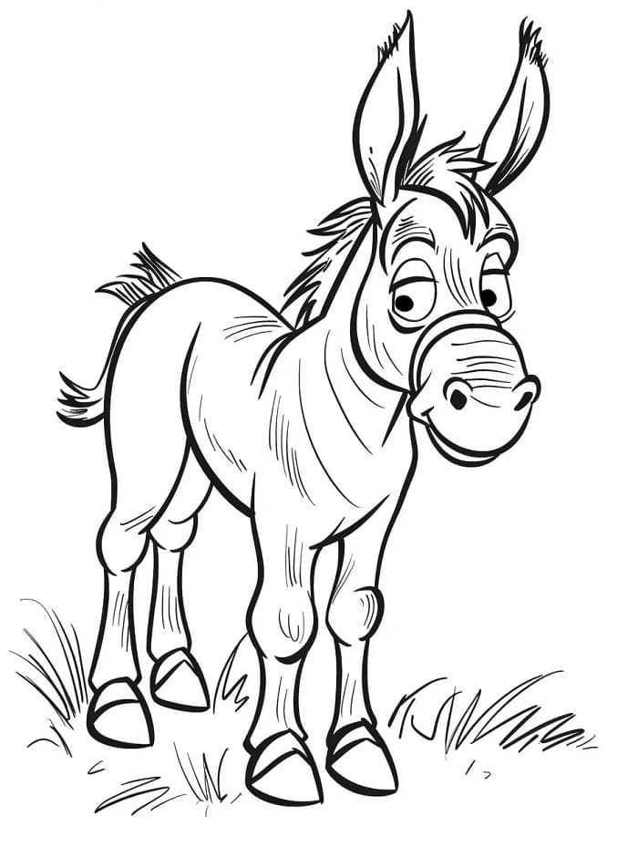 Animasyonlu Eşek Boyama Sayfası