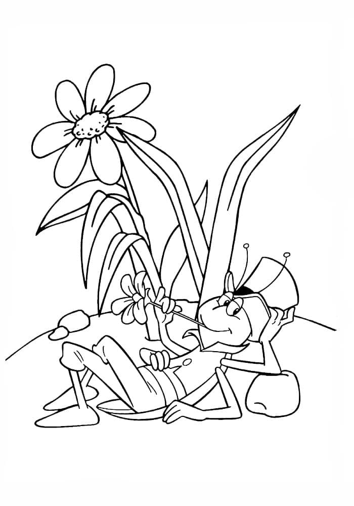 Arı Maya 4 Yaş Çocuklar İçin Boyama Sayfası