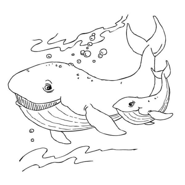 Balina 4 Yaş Çocuklar İçin Boyama Sayfası