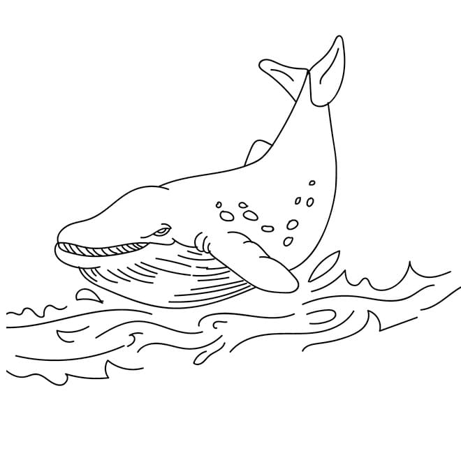 Bedava Balina Çocuklar İçin Boyama Sayfası