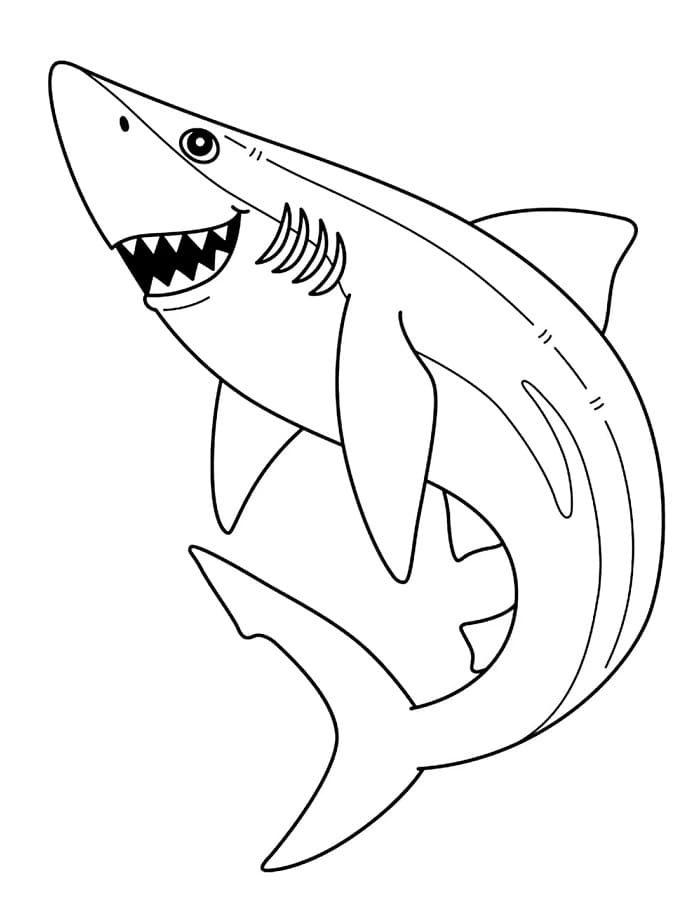 Bedava Köpekbalığı Resim Boyama Sayfası