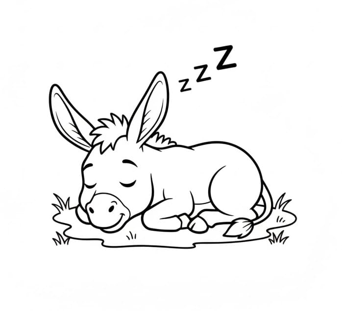 Bir Eşek Boyama Sayfası