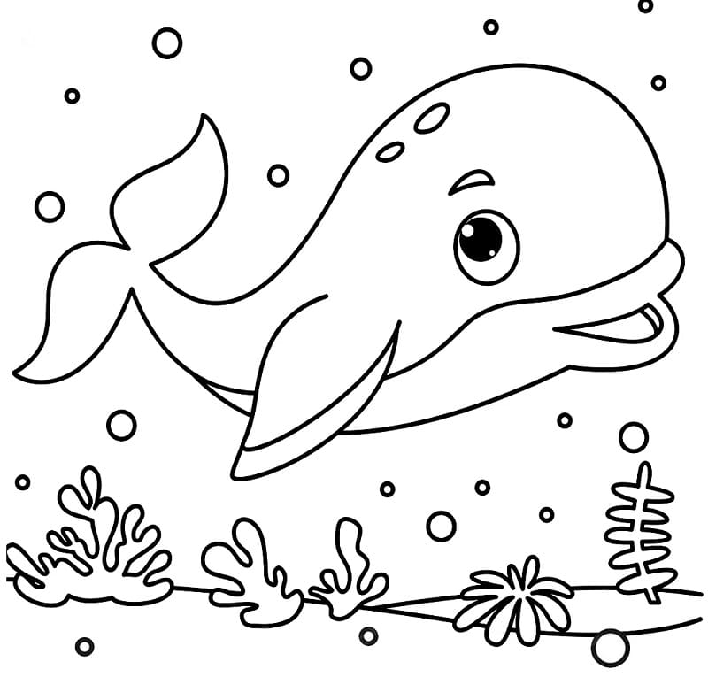 Çizgi Balina Boyama Sayfası