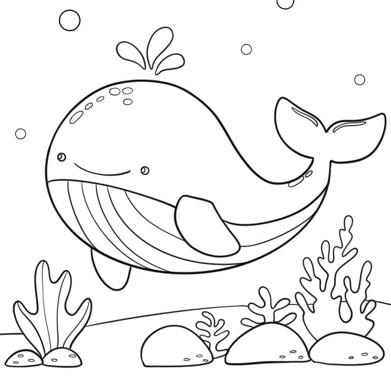 Çocuklar İçin Balina Boyama Sayfası