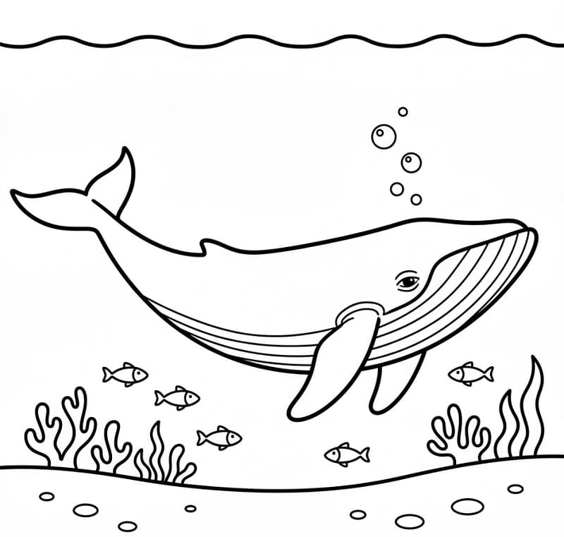 Balina Boyama Sayfaları