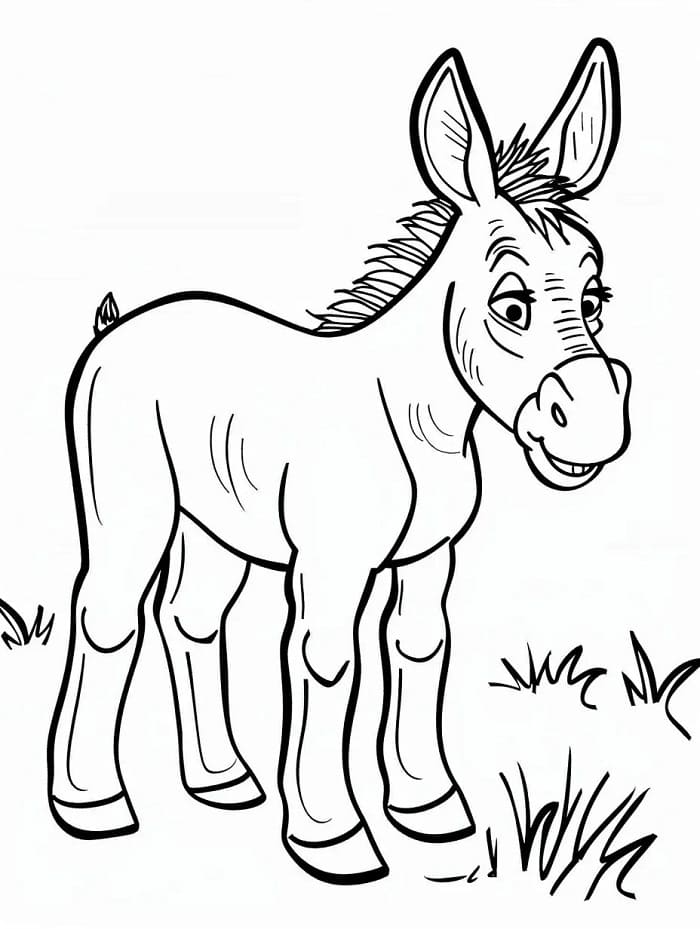 Eşek Bedava Boyama Sayfası