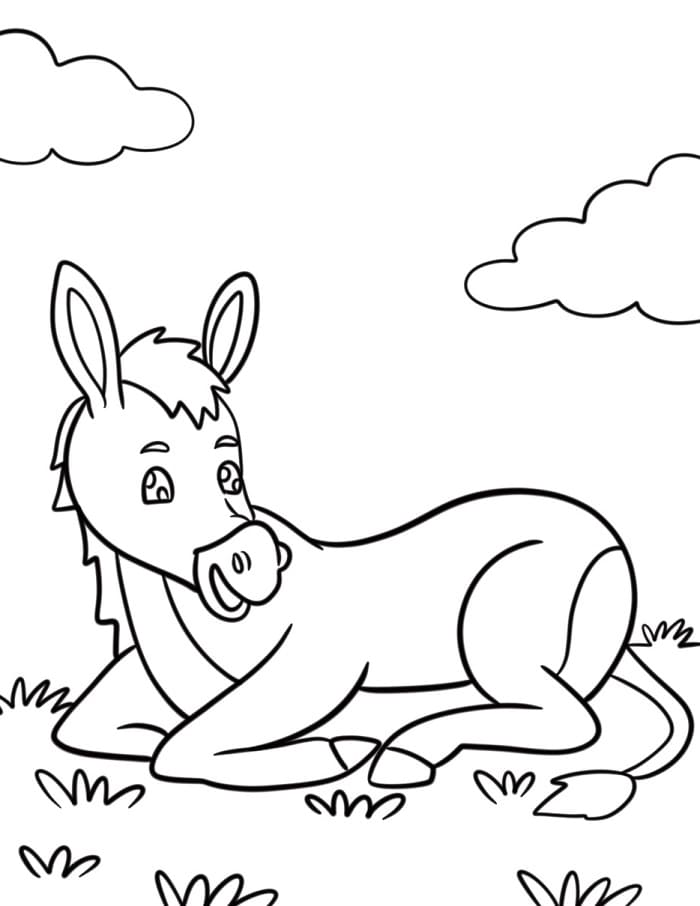 Eşek Resmi Boyama Sayfası