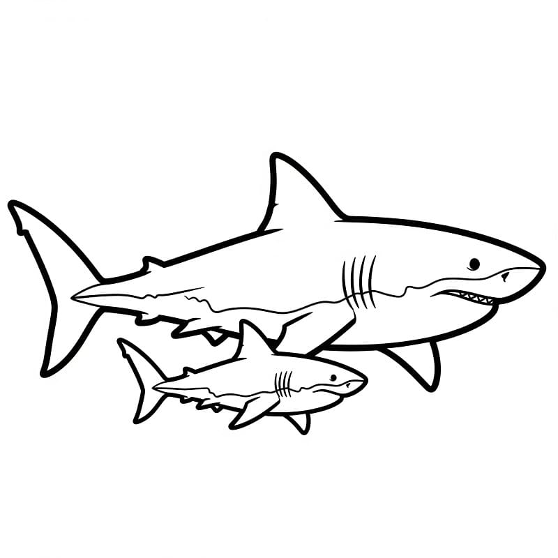 Güzel Köpekbalığı Boyama Sayfası
