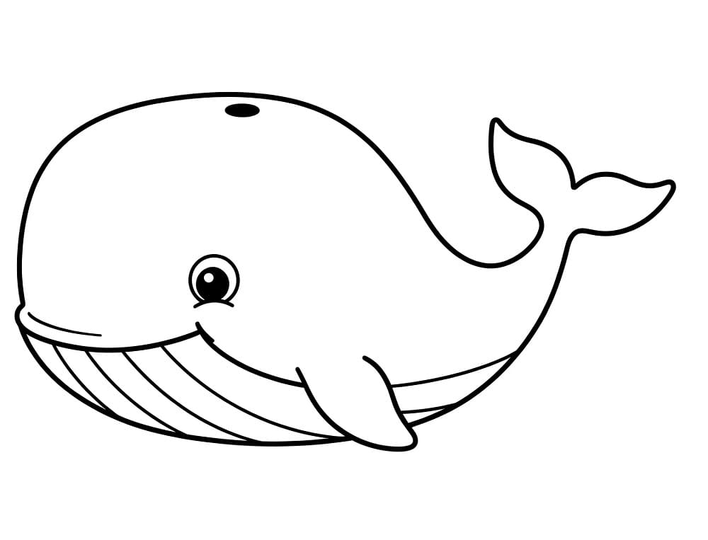 Hoş Balina Boyama Sayfası