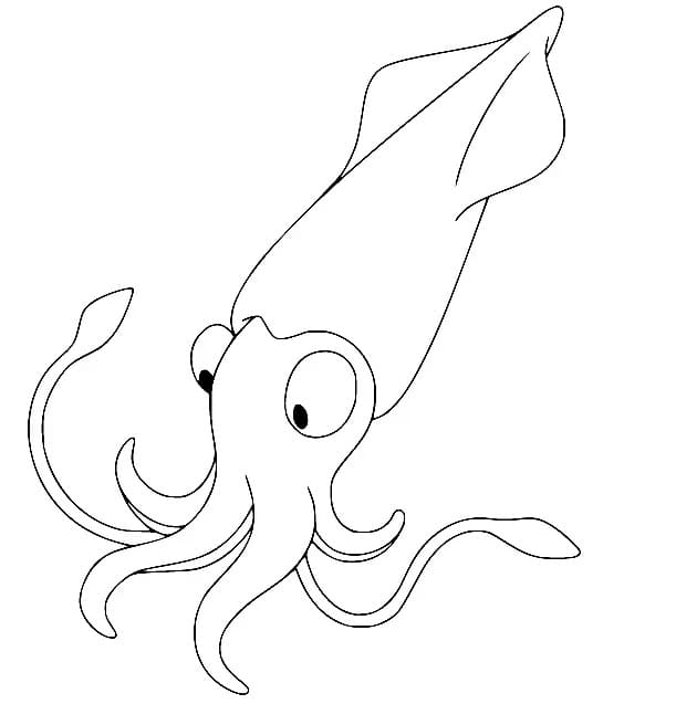 Kalamar 6 Yaş Çocuklar İçin Boyama Sayfası