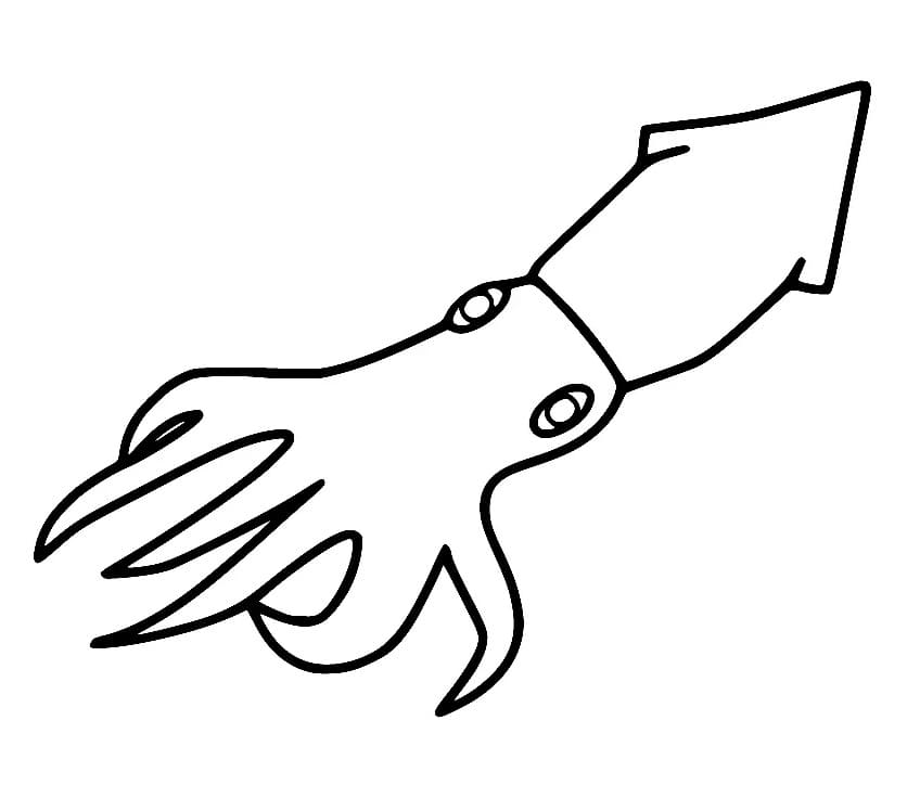 Kalamar Resmi Boyama Sayfası