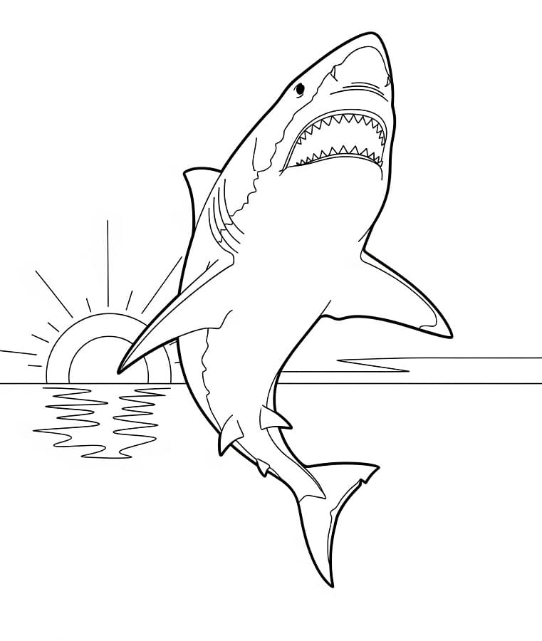 Köpek balığı (4) Boyama Sayfası