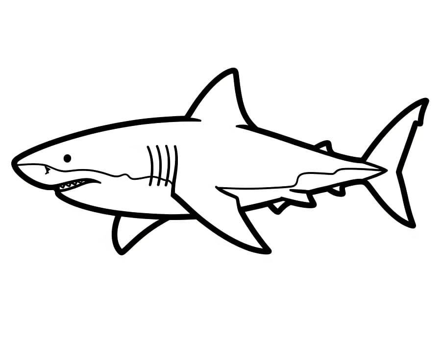Köpek balığı (5) Boyama Sayfası