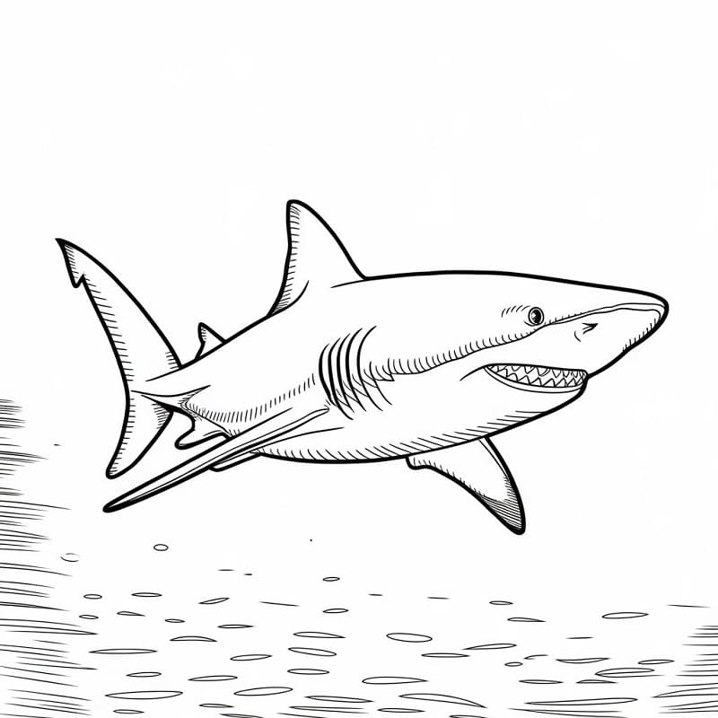 Köpekbalığı 3 Yaş Çocuklar İçin Boyama Sayfası