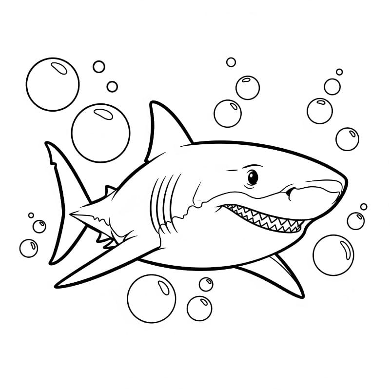 Köpekbalığı 5 Yaş Çocuklar İçin Boyama Sayfası