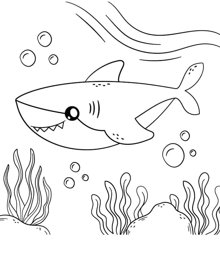 Köpekbalığı Bedava Resim Boyama Sayfası