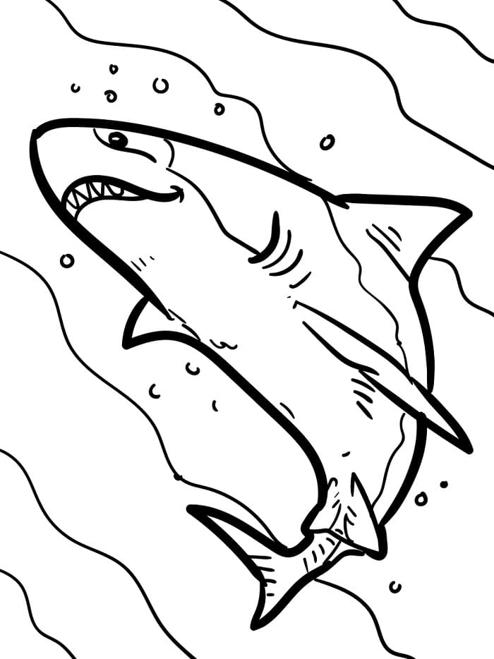 Köpekbalığı Bedava Boyama Sayfası