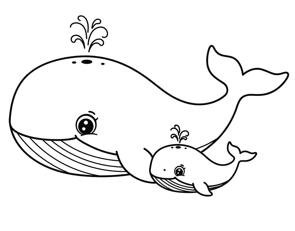 Muhteşem Balina Boyama Sayfası
