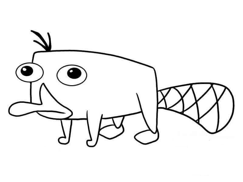 Phineas ve Ferb’ten Perry Boyama Sayfası