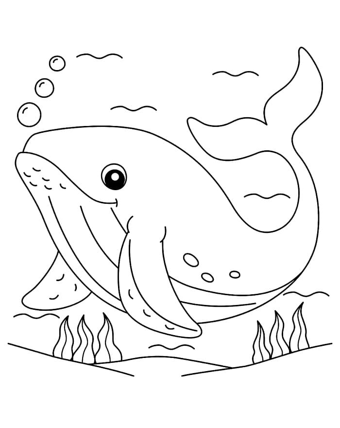 Sıradan Balina Boyama Sayfası