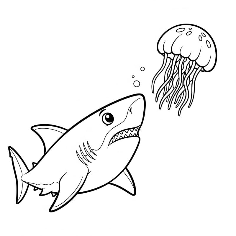 Şirin Köpekbalığı Boyama Sayfası