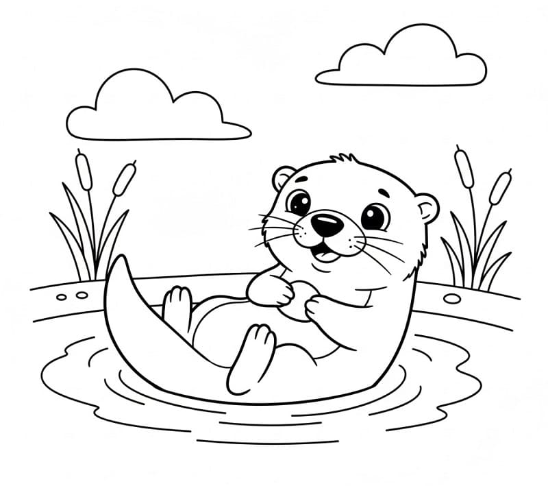 Tatlı Su Samuru Boyama Sayfası