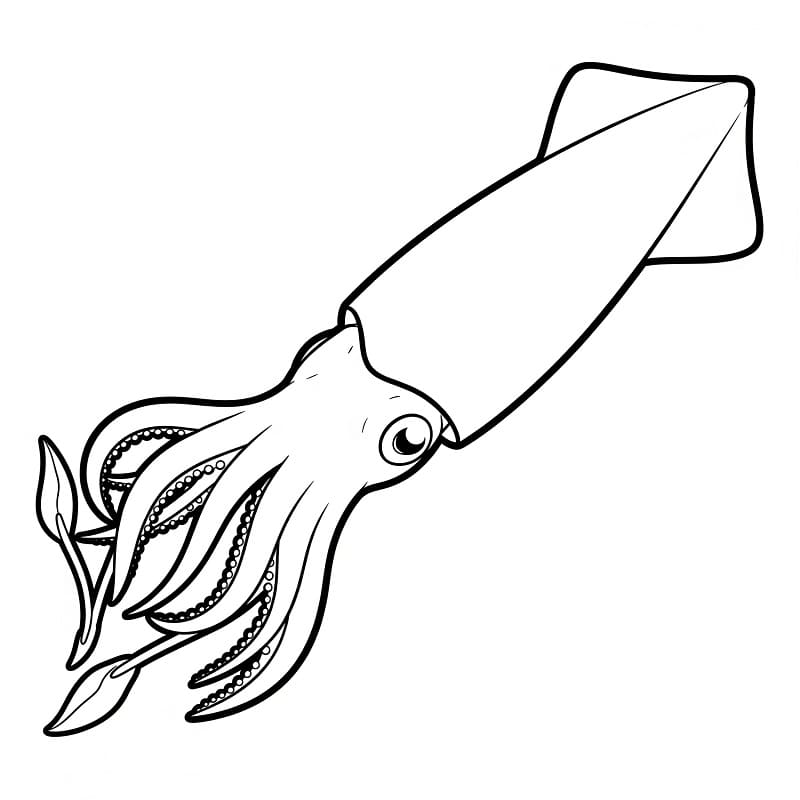 Ücretsiz Kalamar Boyama Sayfası