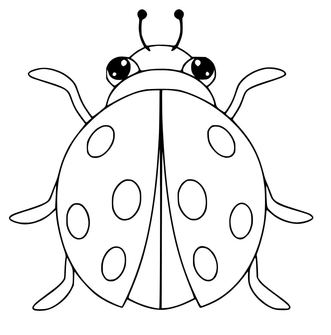 Uğur Böceği 2 Yaş Çocuklar İçin Boyama Sayfası