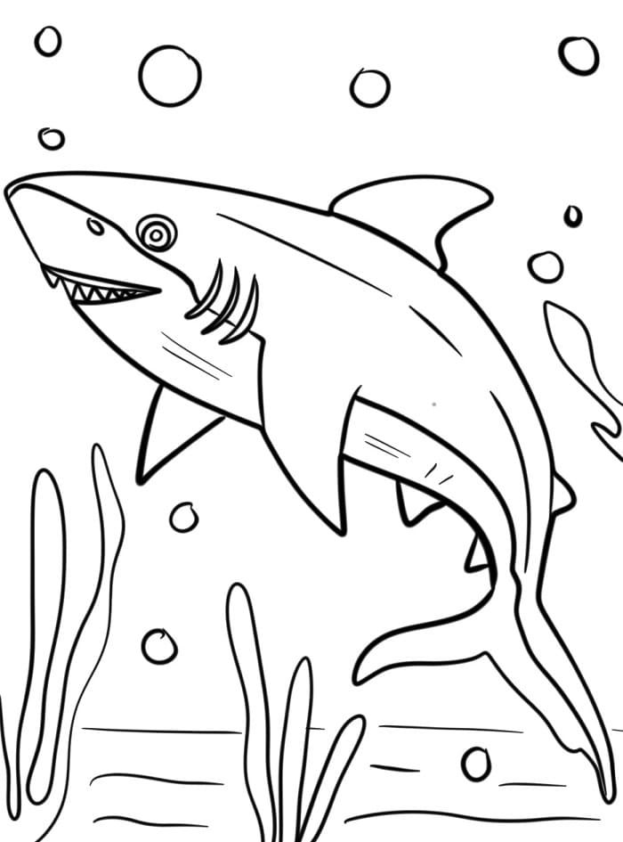 Yazdır Köpekbalığı Boyama Sayfası