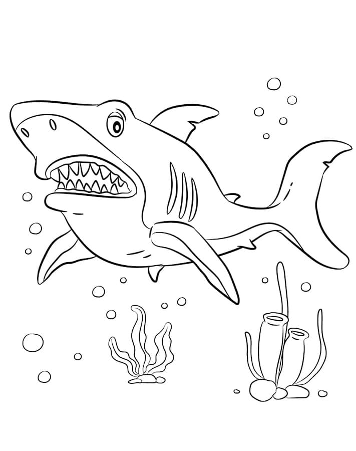 Yazdırılabilir Bedava Köpekbalığı Boyama Sayfası