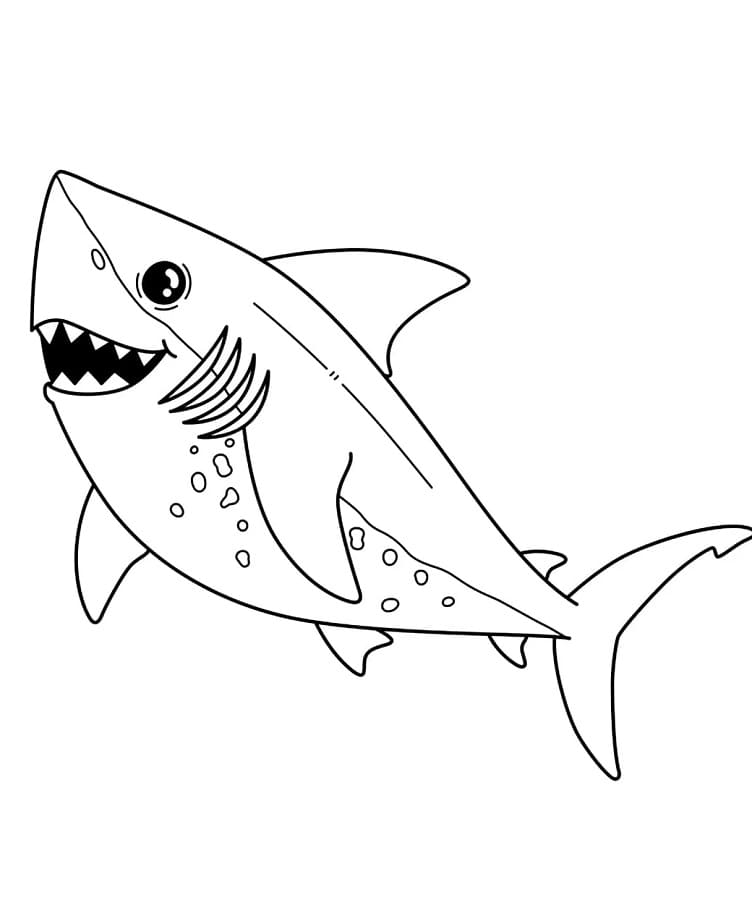 Yazdırılabilir Köpekbalığı Çocuklar İçin Boyama Sayfası