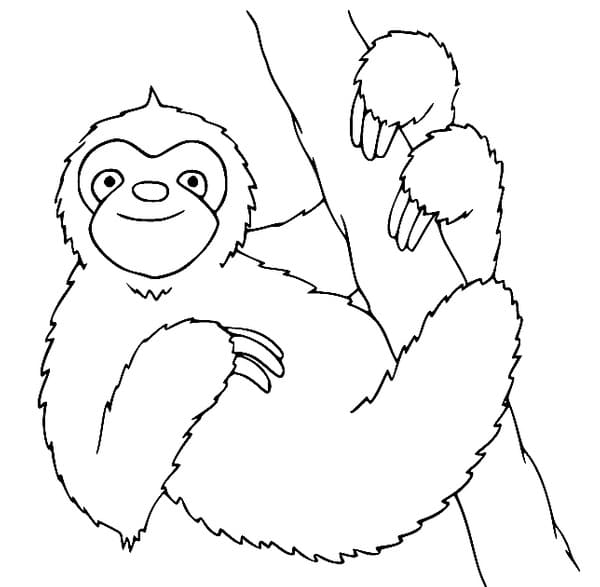 Ağaçtaki tembel hayvan Boyama Sayfası