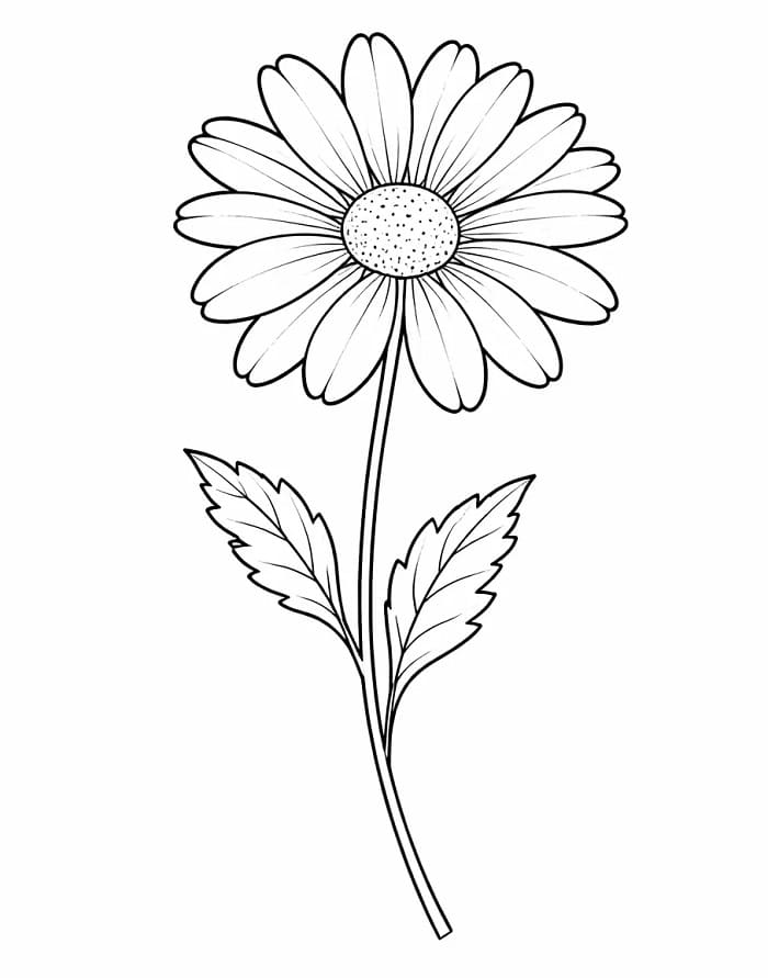 Bedava Yazdırılabilir Papatya Boyama Sayfası