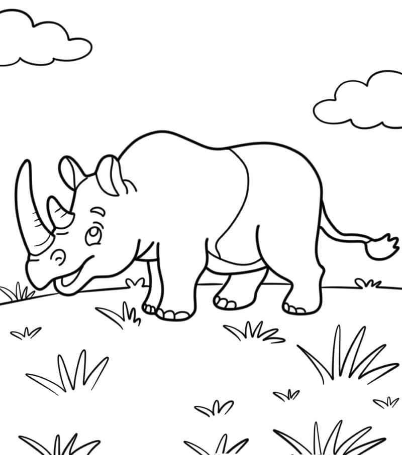 Gergedan Boyama Sayfaları