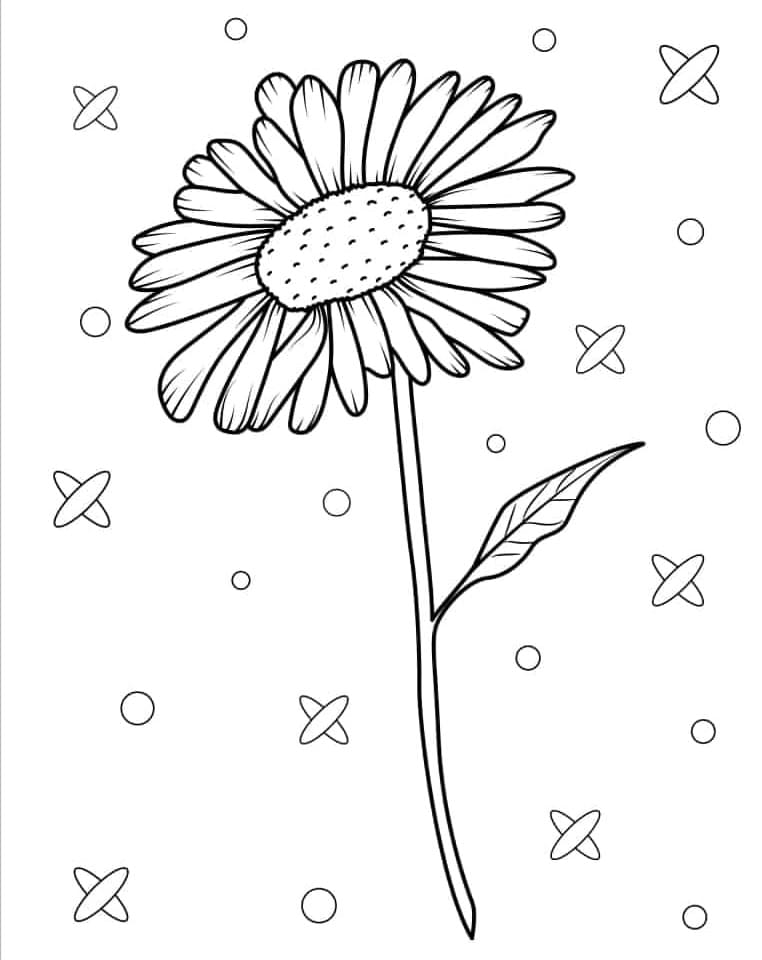 Hoş Papatya Boyama Sayfası