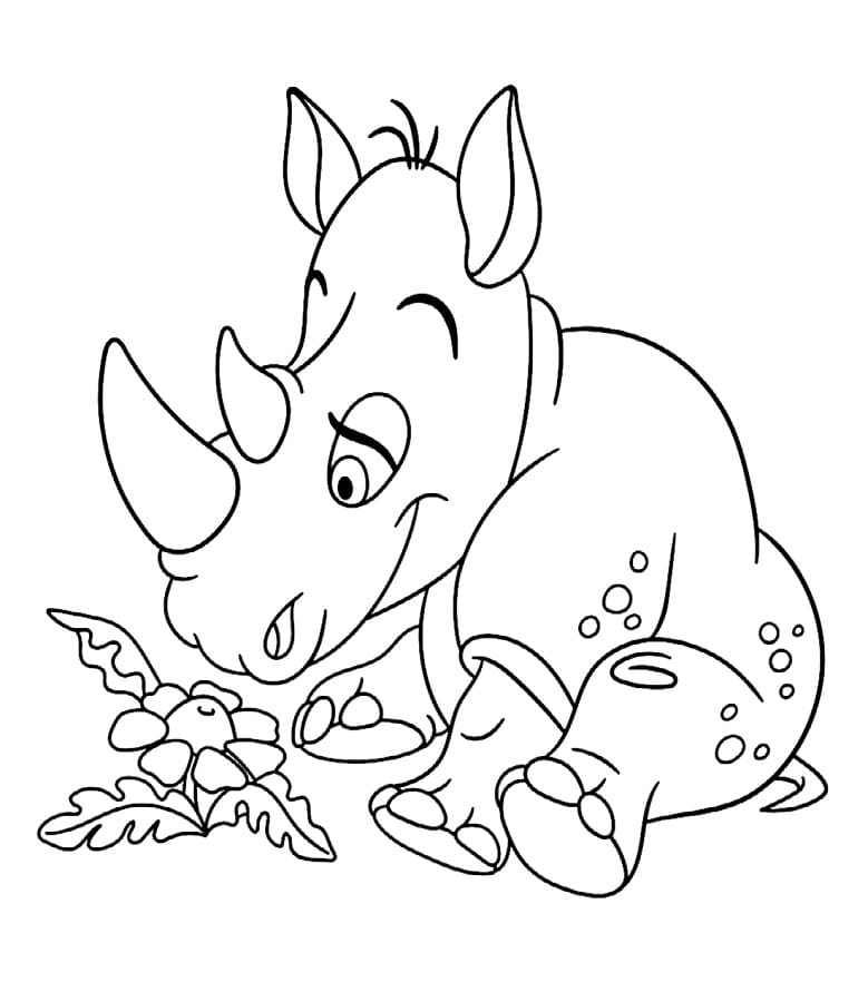 Muhteşem Gergedan Boyama Sayfası