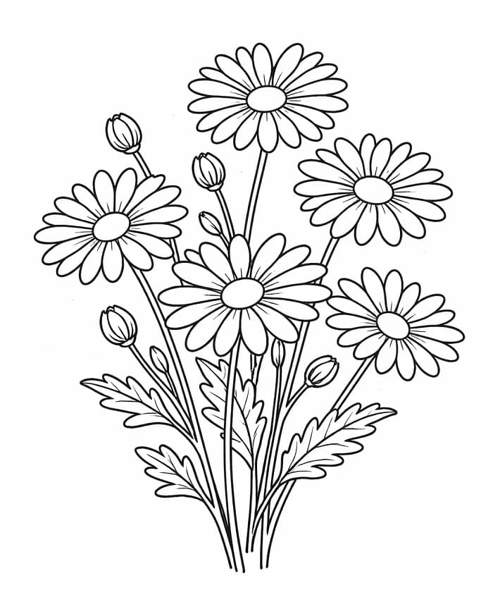 Papatyalar Boyama Sayfası