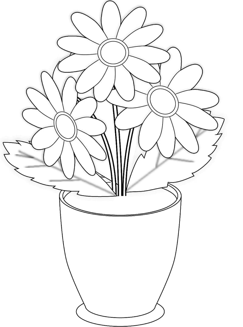 Saksıdaki Papatyalar Boyama Sayfası